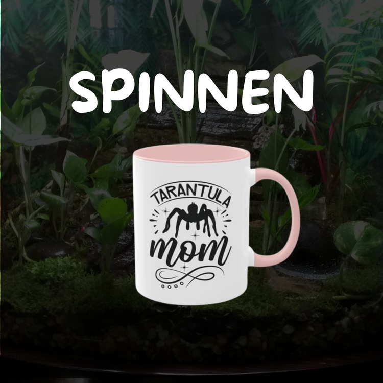 Weiße Tasse mit rosa Griff, bedruckt mit der Aufschrift "Tarantula Mom" und einem stilisierten Spinnenmotiv, vor einem Hintergrund mit Pflanzen und einem Terrarium. Ideal für Vogelspinnen- und Springspinnenliebhaber sowie Spinnenhalter.